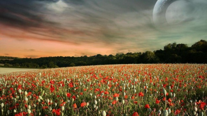 ***如古代长城用的是C140混凝土,那千百年下来会完整的留存至今还是损坏的更加严重?